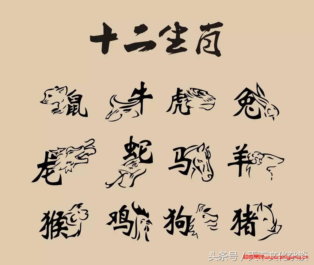 揭秘：十二生肖一生中的劫数年龄，值得一看  第2张