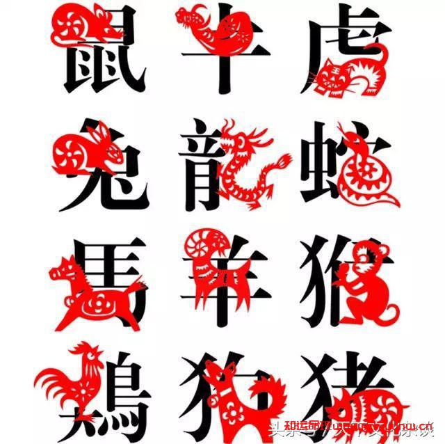 揭秘：十二生肖一生中的劫数年龄，值得一看  第3张
