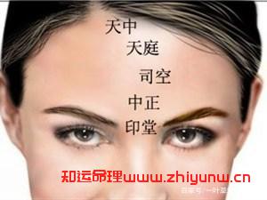 新版面相口诀大全（相面顺口溜大全）  第2张