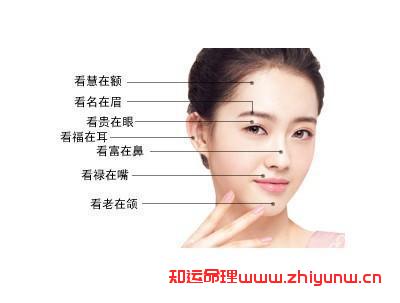 新版面相口诀大全（相面顺口溜大全）  第3张