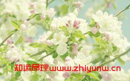 人的一生真的会按照八字走吗(看生辰八字能算出一生命运吗女) 第1张 人的一生真的会按照八字走吗(看生辰八字能算出一生命运吗女) 第1张