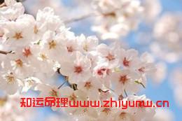 生辰八字婚姻宫(算命免费 生辰八字 婚姻) 第1张 生辰八字婚姻宫(算命免费 生辰八字 婚姻) 第1张