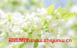 五行相克在一起会被克死吗(五行相克就一定不好吗) 第1张 五行相克在一起会被克死吗(五行相克就一定不好吗) 第1张