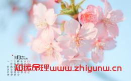 算命事业和财运有什么区别(算事业还是财运) 第1张 算命事业和财运有什么区别(算事业还是财运) 第1张