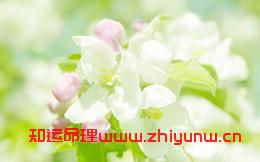 十年偏财运(十年偏印运什么意思) 第1张 十年偏财运(十年偏印运什么意思) 第1张