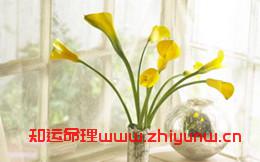 生辰八字怎么看财运(八字算命看财运方法) 第1张 生辰八字怎么看财运(八字算命看财运方法) 第1张