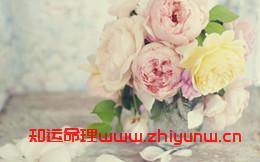 在哪可以算姻缘(算姻缘准的地方) 第1张 在哪可以算姻缘(算姻缘准的地方) 第1张