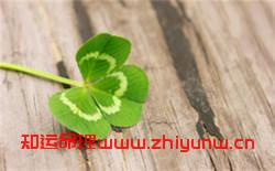 曲姓起名字(曲姓男孩) 第1张 曲姓起名字(曲姓男孩) 第1张