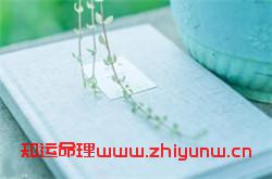 惠姓起名_惠姓名字大全（姓惠的女孩名字大全）  第1张