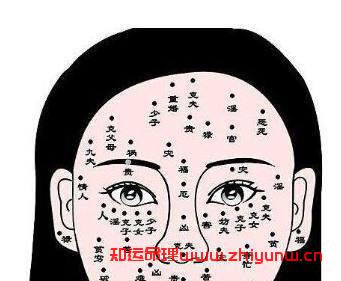 女强人!女人有这四大面相事业心强,为人好强,不易服输!(事业有成的女人面相) 第1张 女强人!女人有这四大面相事业心强,为人好强,不易服输!(事业有成的女人面相) 第1张