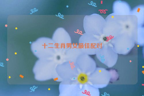 十二生肖男女最佳配对