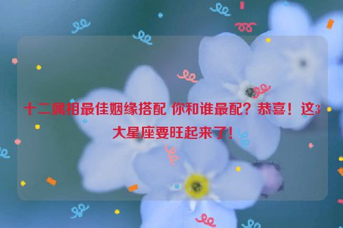 十二属相最佳姻缘搭配 你和谁最配?恭喜!这3大星座要旺起来了!