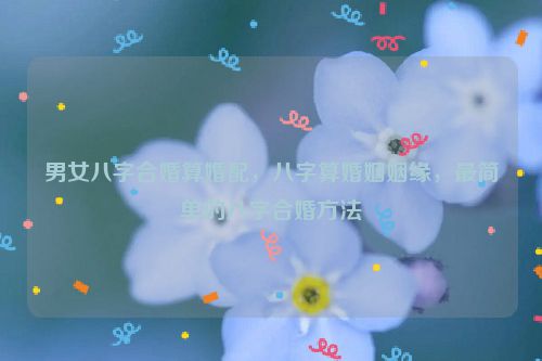 男女八字合婚算婚配，八字算婚姻姻缘，最简单的八字合婚方法 第2张