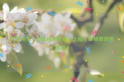 算命先生:看面相你是帝王之相(帝师教你看面相)